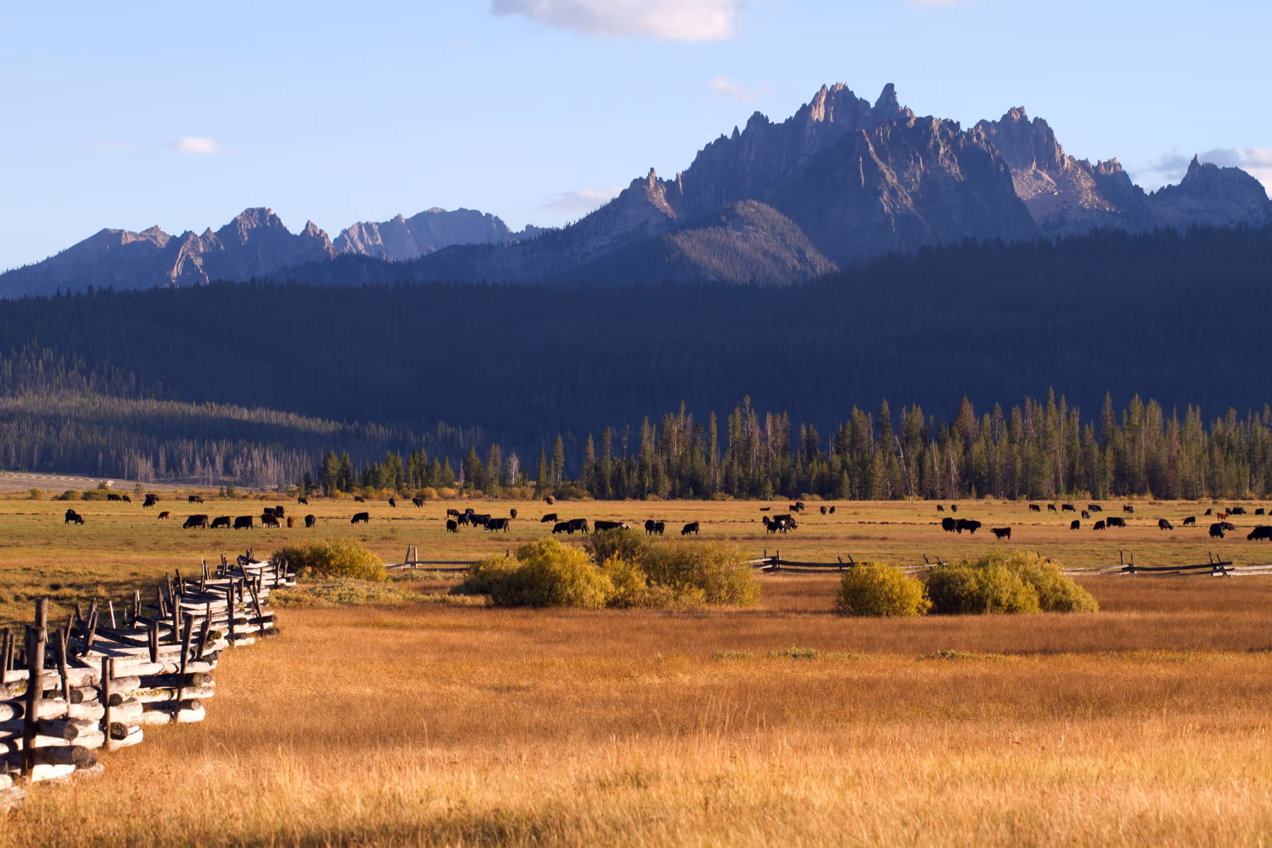 Scenery near Granite Bend, Amelia County (representative Idaho landscape).